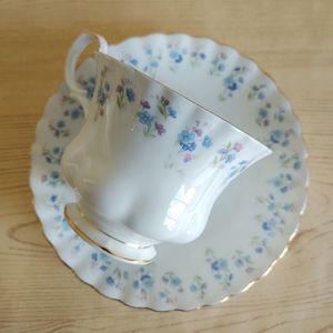 Beautiful Memory Lane Teacup and Saucer Set by Royal Albert